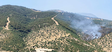 Ala�ehir'deki orman yang�n� kontrol alt�nda