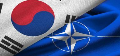 NATO ile Gney Kore arasnda yeni ibirlii!