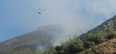 Kahramanmara'taki orman yangnna havadan ve karadan mdahale sryor