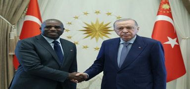 Cumhurbakan Erdoan, Lammy'yi kabul etti