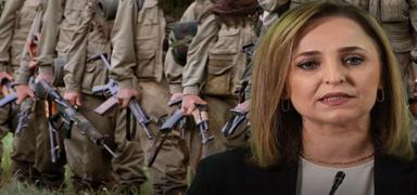 Terr rgt PKK'nn silah brakmasna ilikin tarih verildi