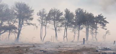 Hesab� tek tek soruluyor: �zmir'deki yang�nlara sebep olanlar adliyeye sevk edildi