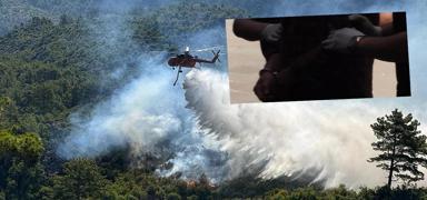 Orman yang�nlar�nda g�zalt� dalgas�