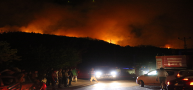 Hatay Drtyol'da orman yangn: Alevler yerleim yerlerine yaklat
