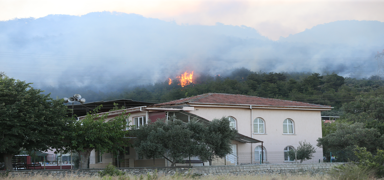 Hatay'da alevlerle mcadele ediliyor