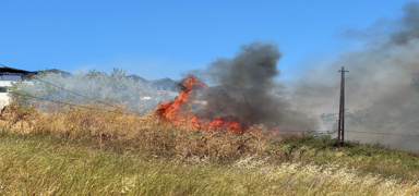 B�y�k�ekmece'de otluk alanda ��kan yang�n s�nd�r�ld�