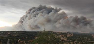 Katalonya orman yangnlar ile bouuyor! 3 bin hektardan fazla alan kl oldu