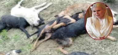 CHP'li ba�kan�n talimat� ortaya ��kt�