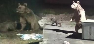 Ay ile burun buruna geldi, komaya balad! Cann zor kurtard