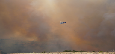 Tekirda�'da tar�m alan�nda ba�layan yang�n ormana s��rad�