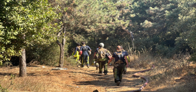 Sultangazi'de ormanlk alanda kan yangn sndrld