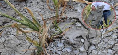 �ift�iye kanalizasyon suyu vermi�ler