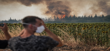 Gelibolu'daki yang�n kontrol alt�nda