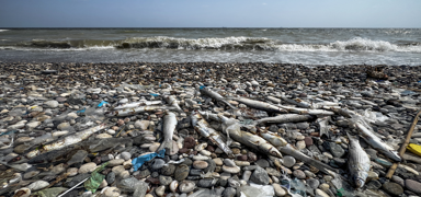 Mersin sahillerinde �l� bal�k alarm�! Denizin rengi de�i�ti, inceleme ba�lat�ld�