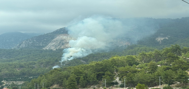 Antalya'daki yangn sndrld