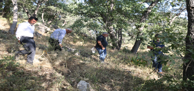 K�yl�ler bu  bitki i�in mezarl�kta n�bet tutuyor! 557 bin lira cezas� var