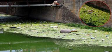 Adana'nn Venedik'i Ganj Nehri'ne dnd