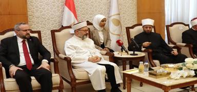 Diyanet ��leri Ba�kan� Erba�, M�s�r Evkaf Bakan� Ezheri'yi ziyaret etti