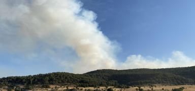 Eski�ehir'deki orman yang�n� devam ediyor: 60 hektar alan zarar g�rd�