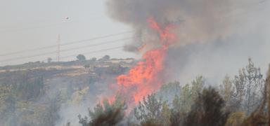 �zmir'de orman yang�n�... Ekipler alevlerle m�cadele ediyor