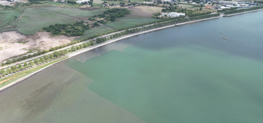 �zmit K�rfezi'nde 170 hektarl�k alandan dip �amuru temizlendi