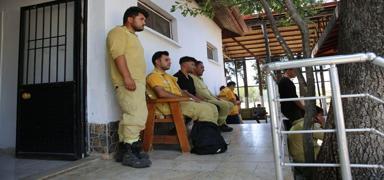 Ayn� g�n i�e ba�lam��lard�... Orman �ehitlerinin hikayesi y�rek burktu