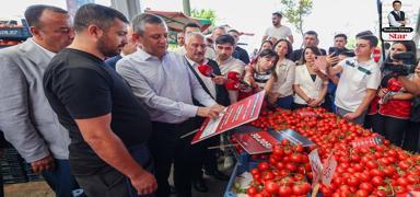 �zg�r �zel'in domatesle s�nav�