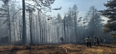 �ank�r�'daki orman yang�n� Tosya'ya s��rad�!