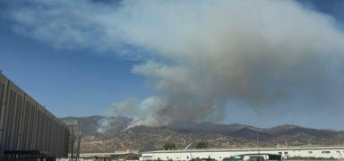 Ayd�n'da yang�n ormana s��rad�! M�dahale s�r�yor