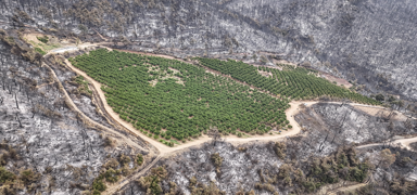 Bursa'da dikkat �eken manzara