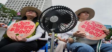 G�ney Kore'de a��r� s�caklar 13 can ald�