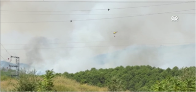 Portekiz ve �spanya orman yang�nlar�yla m�cadele ediyor