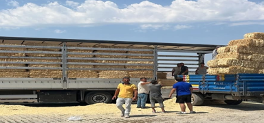 Yang�n ma�duru �ift�ilere destek: 3 t�r yola ��kt�