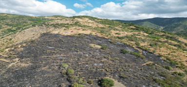 �ark�y'deki makilik yang�n� s�nd�r�ld�