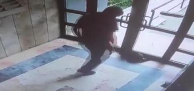 Kediyi �ld�ren cani i�in karar