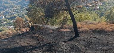 Hatay'da orman yangn bymeden kontrol altna alnd