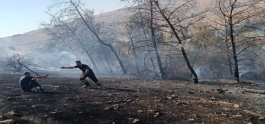 �anl�urfa'da ��kan yang�n kontrol alt�nda