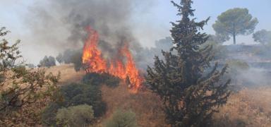 Ayd�n'da y�kselen alevler korkuttu