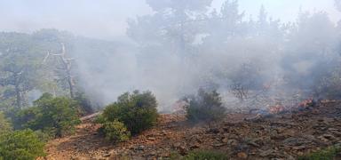 Denizli'de orman yang�n�... Alevler kontrol alt�na al�nd�