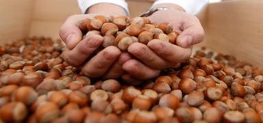 F�nd�k ihracat� 7 ayda 1,3 milyar dolar kazand�rd�