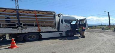 Erzurum'da d�zensiz g��e ge�it verilmedi