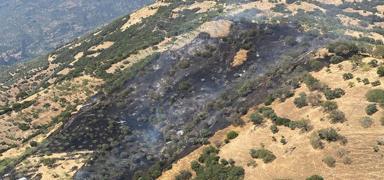 Kay�npederine k�zd�, 30 d�n�ml�k araziyi yakt�