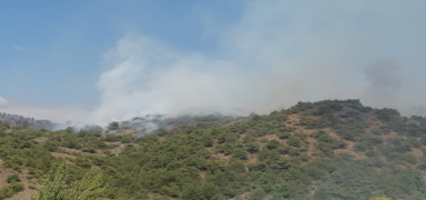 Tokat'ta ��kan orman yang�n� kontrol alt�na al�nd�