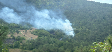 Bolu'daki yang�n s�nd�r�ld�