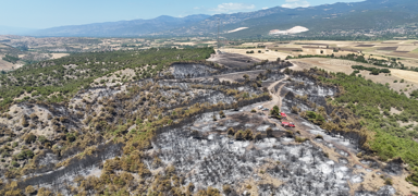 Tokat'ta 50 hektarl�k alan zarar g�rd�