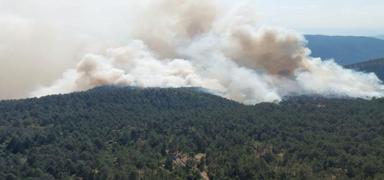 Sinop'ta orman yang�n�: Bir k�y tahliye edildi