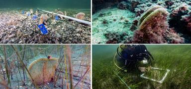 'Saatte 6 litre su temizleniyor'