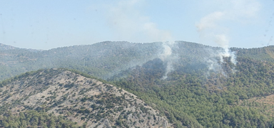 Mersin'de orman yang�n� ��kt�