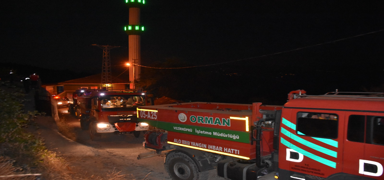 Sinop'ta orman yang�n�: 22 hektarl�k alan k�l oldu