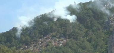 Sinop'ta orman yang�n�! �ok say�da ekip sevk edildi